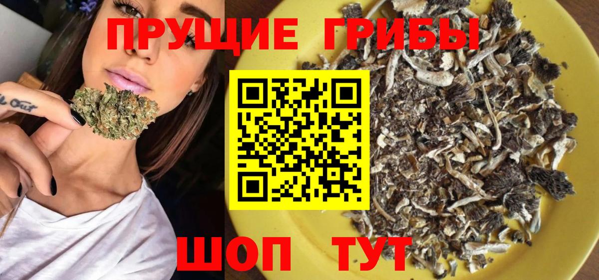 Мичуринск  Псилоцибиновые грибы Psilocybine cubensis  купить   Вход с VPN 