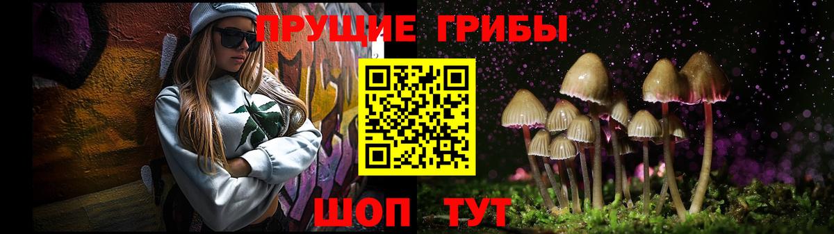 Псилоцибиновые грибы Psilocybe Мичуринск